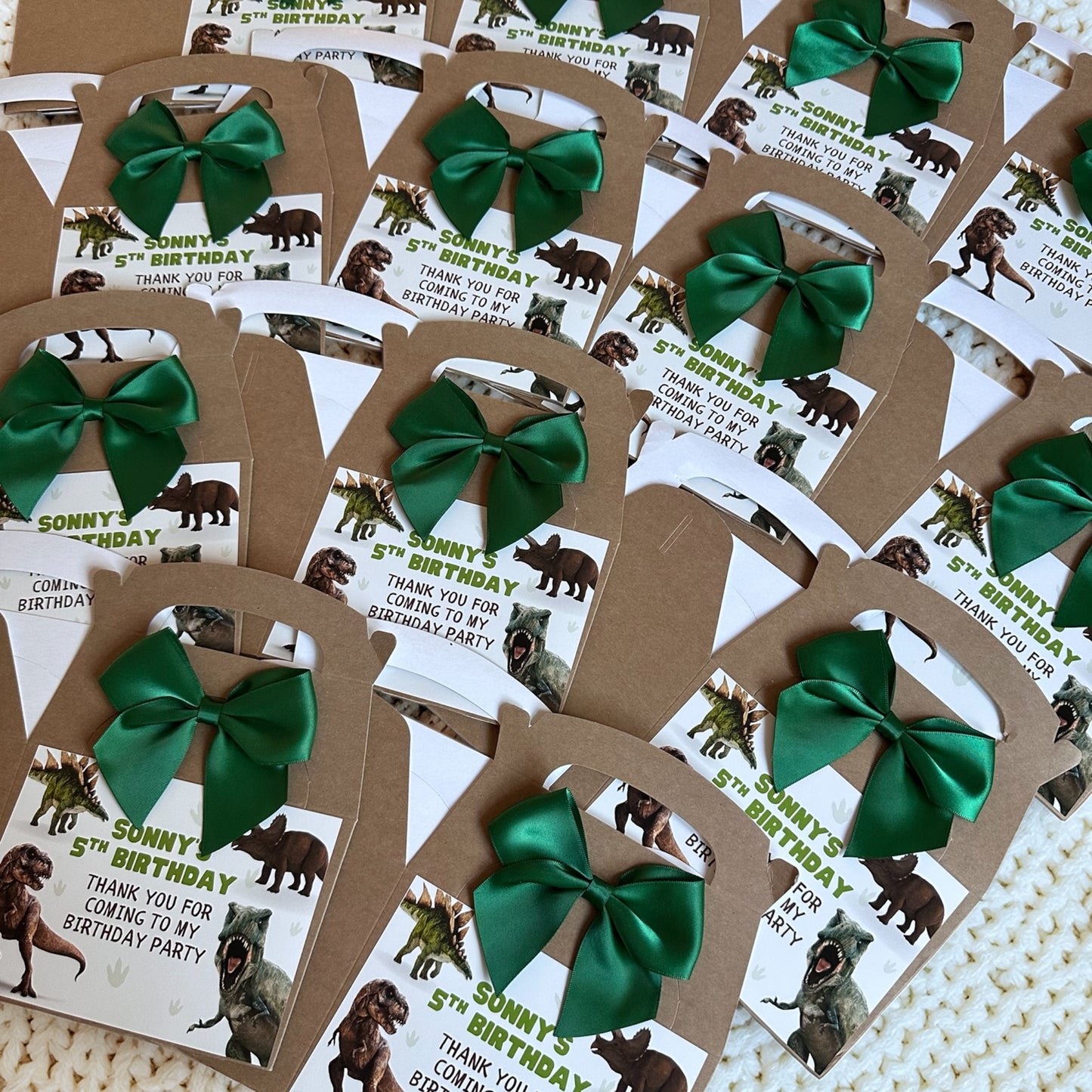 Pack of 10 - Dinosaur Party Boxes