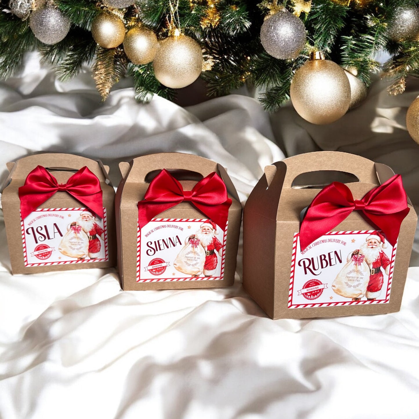 Christmas Party Box - Santa