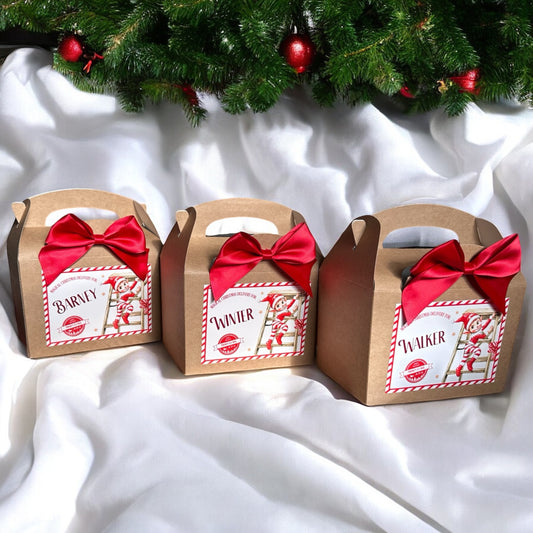 Christmas Party Box- Elf